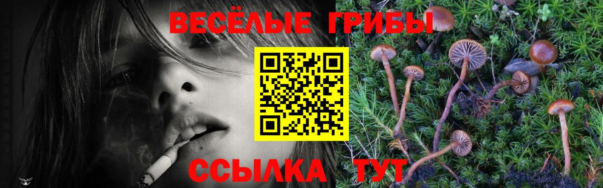 Псилоцибиновые грибы мицелий  Галлюциногенные грибы Psilocybine cubensis  Вход с VPN  Белово 